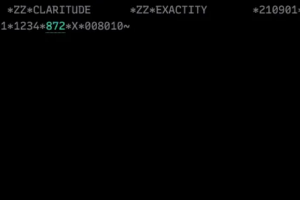 X12 EDI 中的控制编号
