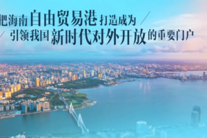 领航自贸港新赛道：EDI 重构企业跨境业务高效增长体系