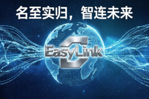 名至实归,智连未来:从命名到算子,解读易连EDI– EasyLink的设计先进性